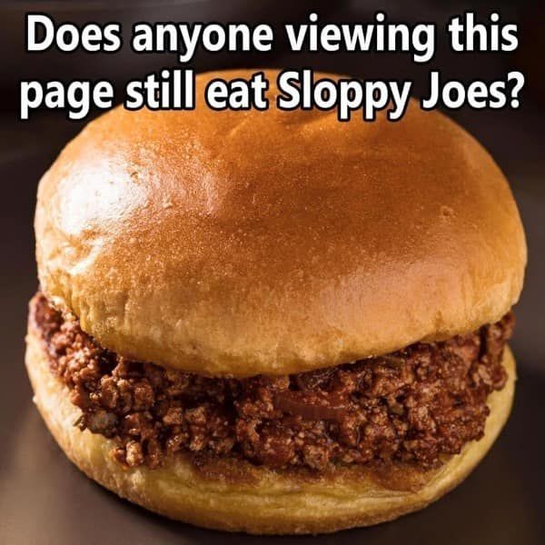 Homemade Sloppy joes