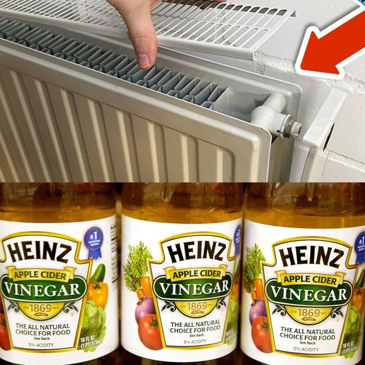 Secret Tip: Clean the Radiator from the Inside to Save Energy!